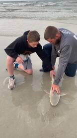 New Smyrna Beach Report Photo 2