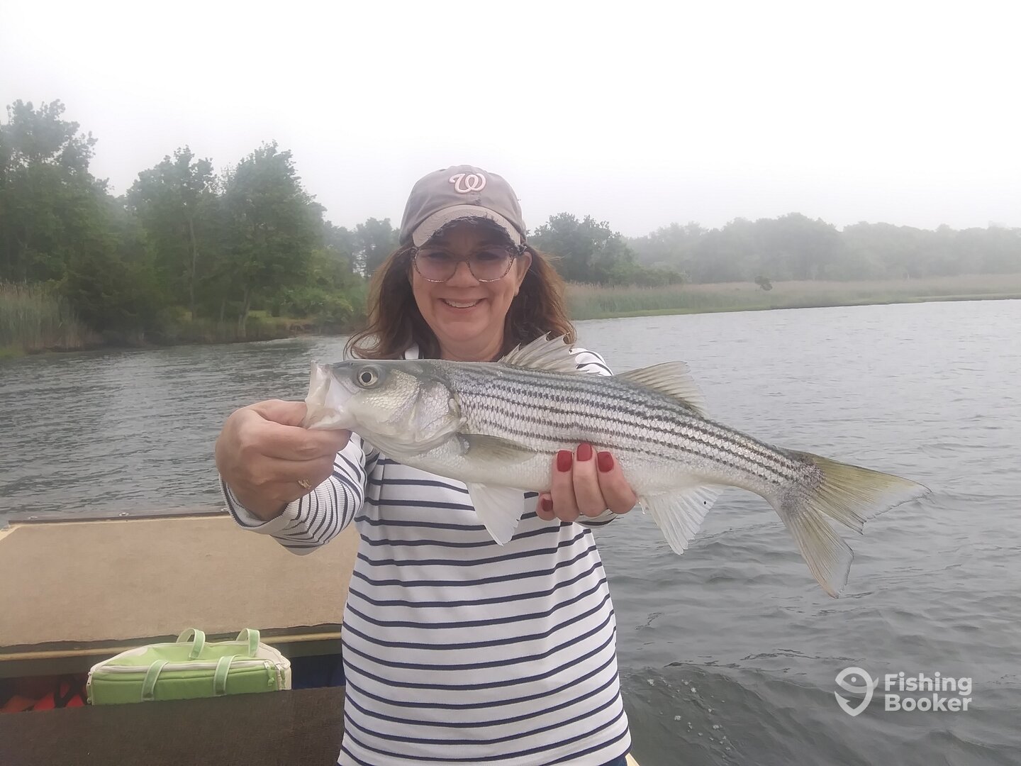 Chincoteague Report Photo 0