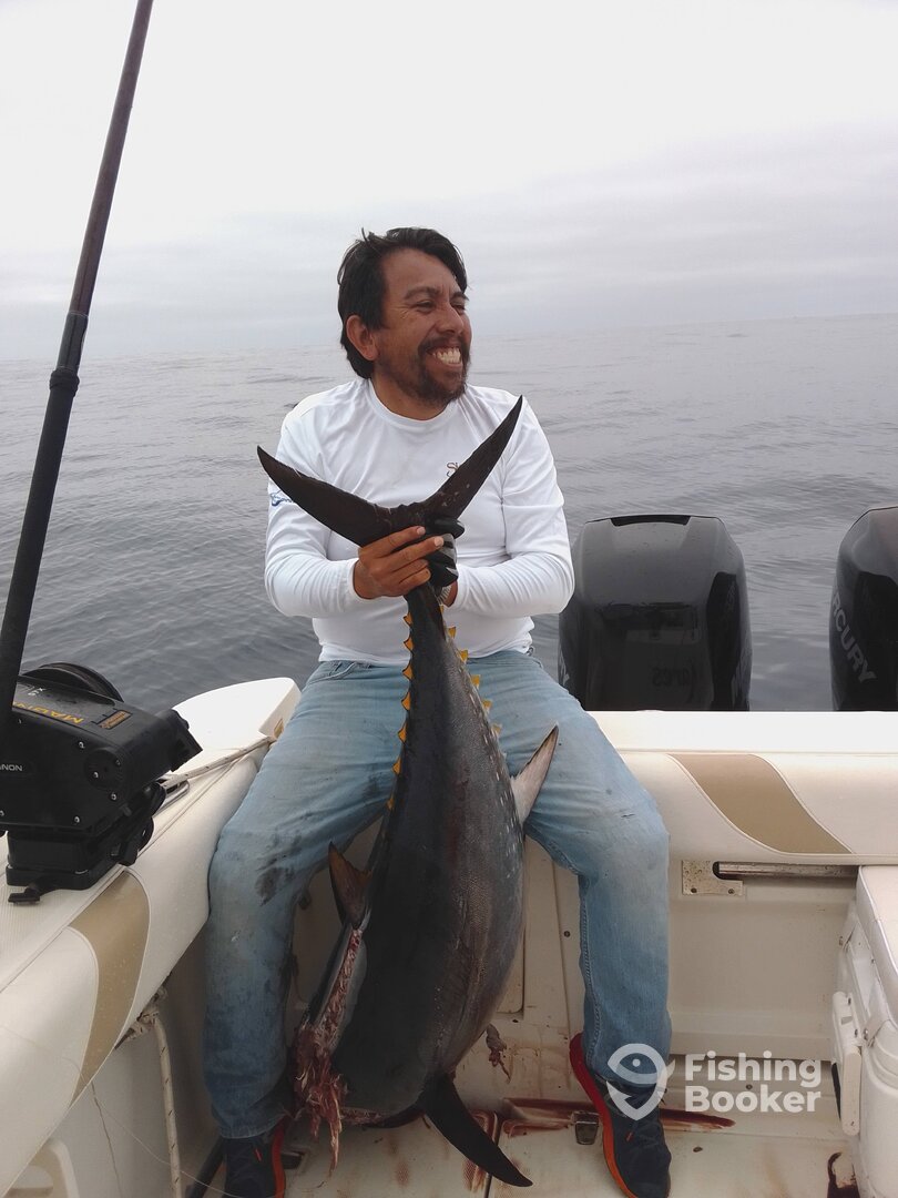 Ensenada Report Photo 0