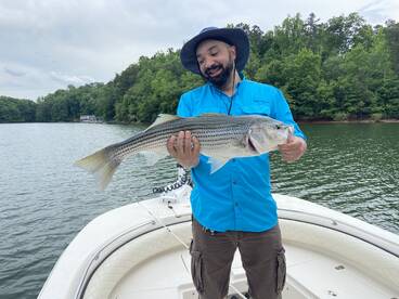 Cumming Report Photo 1