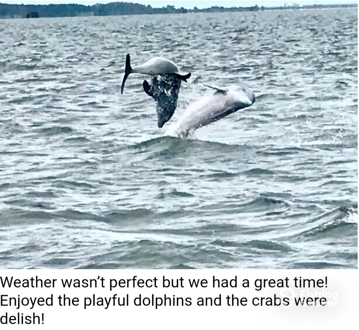 Wanchese Report Photo 0