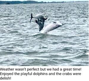Dolphin show after Crabbing!