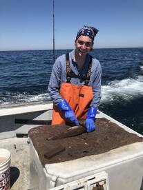 Gloucester Report Photo 2