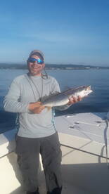 Narragansett Report Photo 1