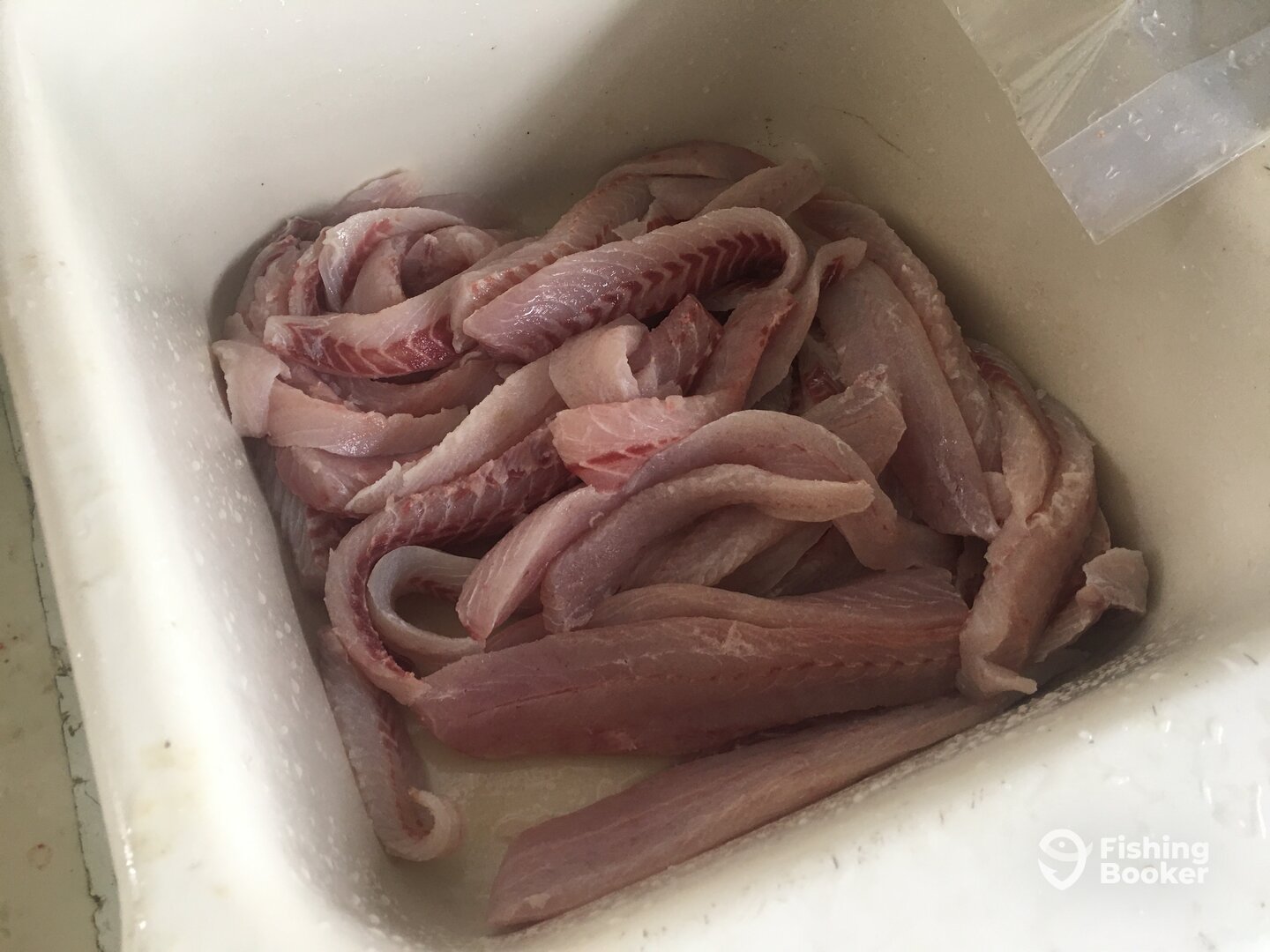 Pottsboro Report Photo 0