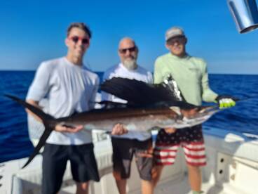 St. Petersburg Report Photo 2