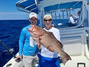 Sailfish , grouper and snapper 
