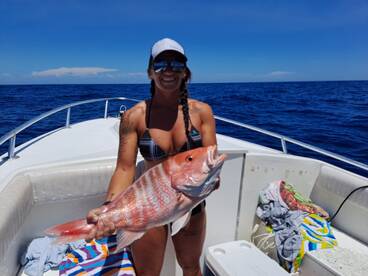 St. Petersburg Report Photo 1