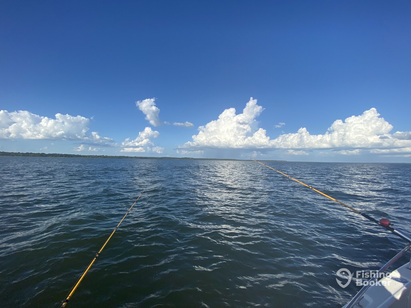 Pottsboro Report Photo 0