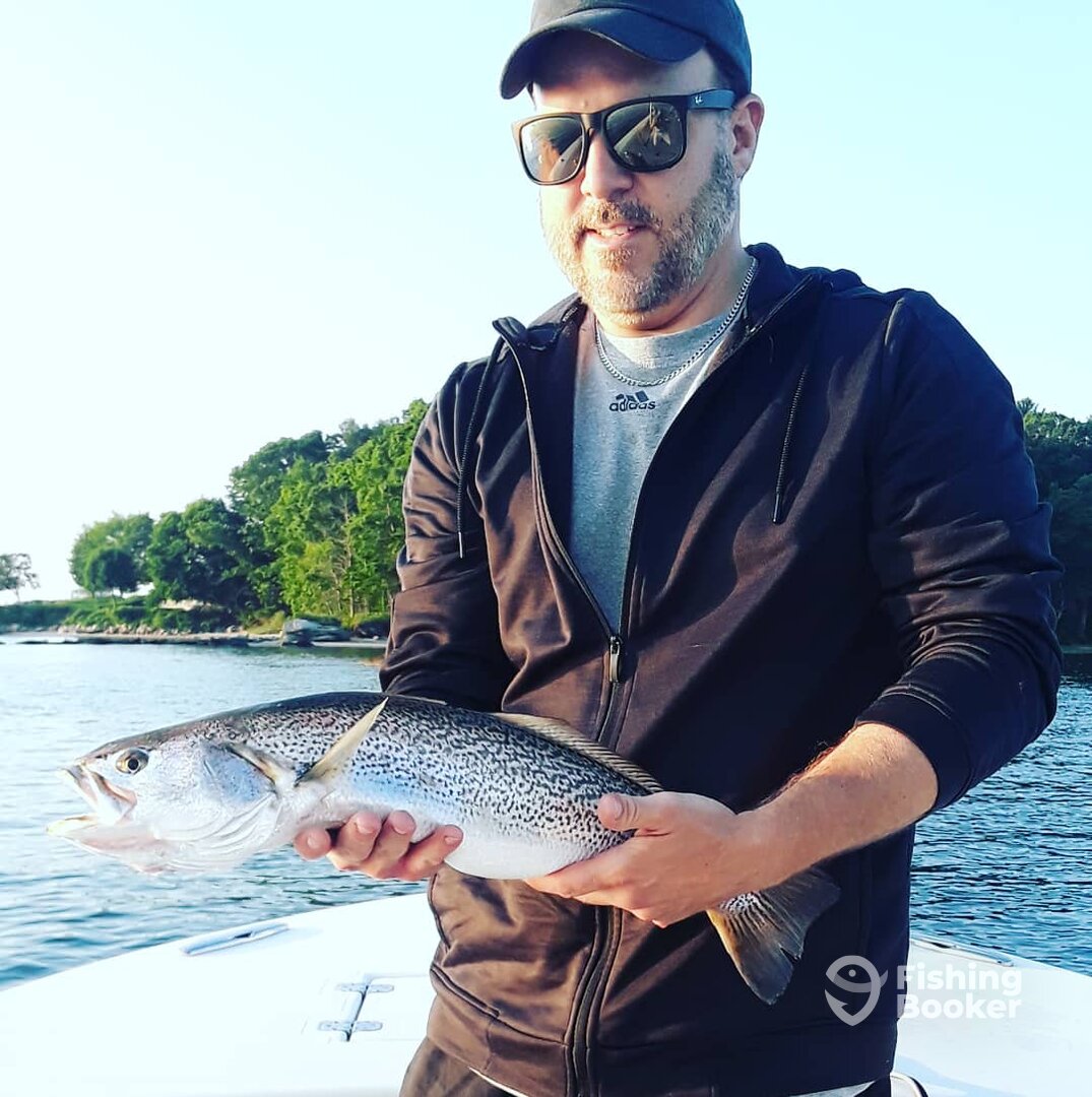 Narragansett Report Photo 0