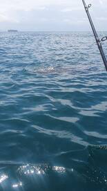 Panama City Report Photo 2