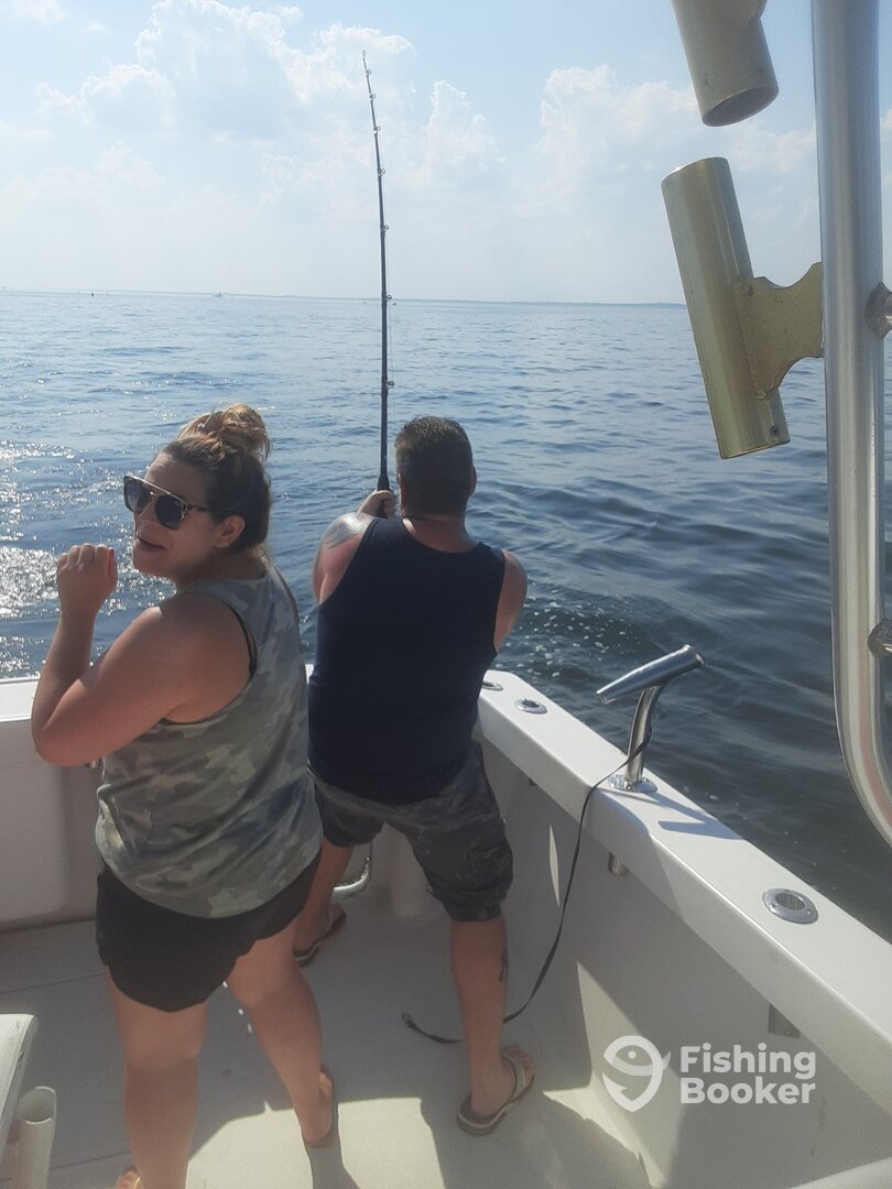 New York City Report Photo 0