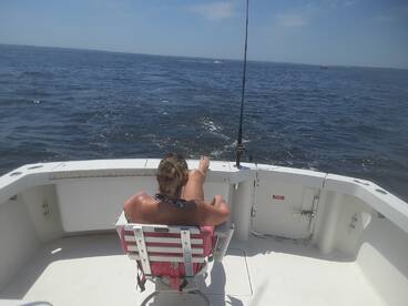 New York City Report Photo 2