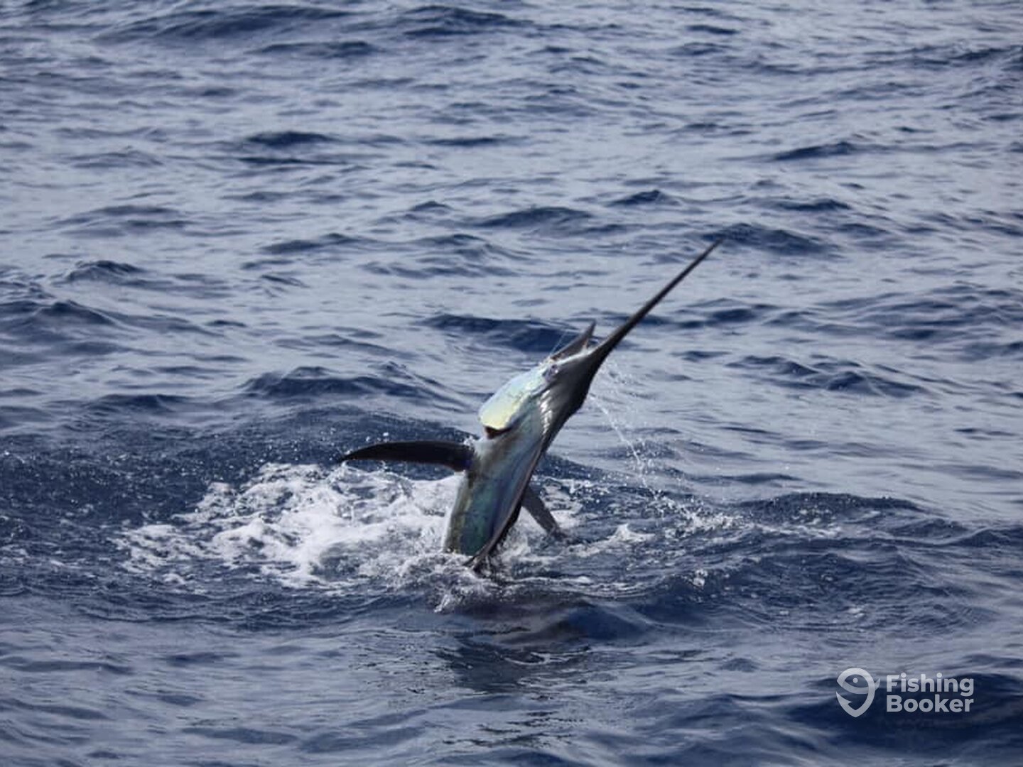 Quepos Report Photo 0