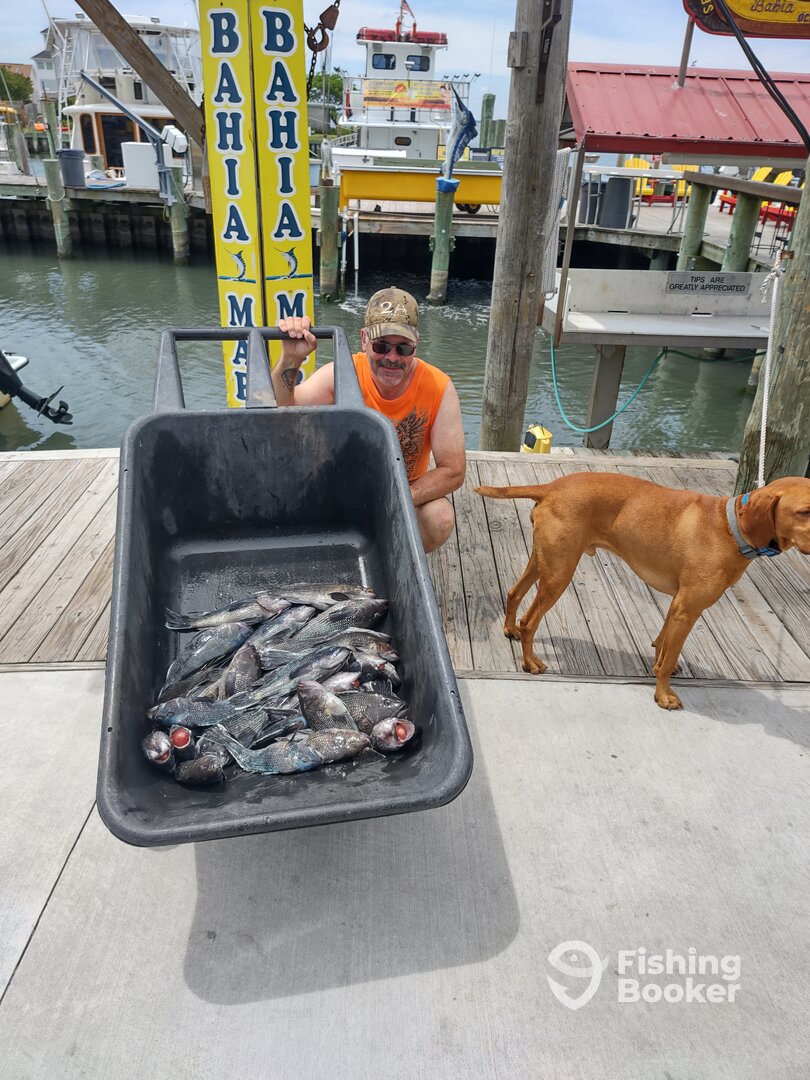 Ocean City Report Photo 0