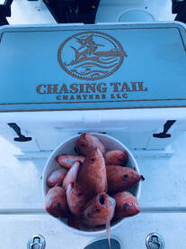 Mount Pleasant Report Photo 2