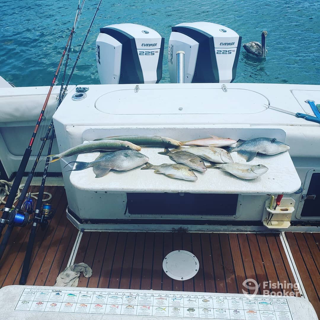 West Palm Beach Report Photo 0