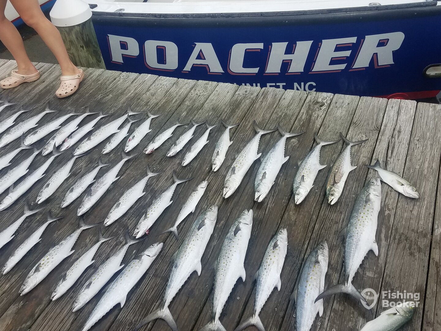 Nags Head Report Photo 0