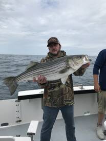 Striped bass and bluefish is red hot at 