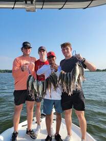 Grapevine Report Photo 2