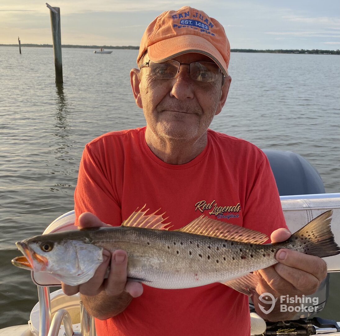 Fairhope Report Photo 0