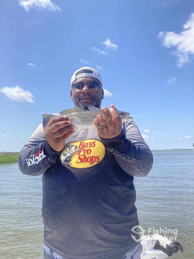 Jekyll Island Report Photo 0