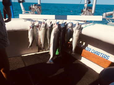 Waukegan Report Photo 2