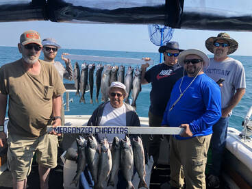 Waukegan Report Photo 1