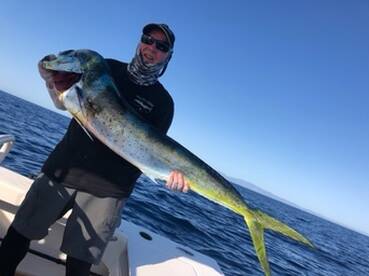 La Ventana Report Photo 2