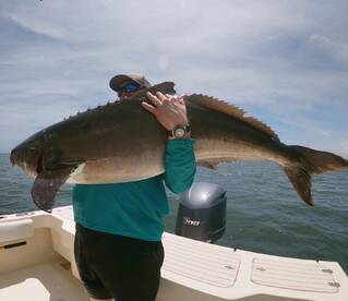 Wow!! Trophy Cobia 