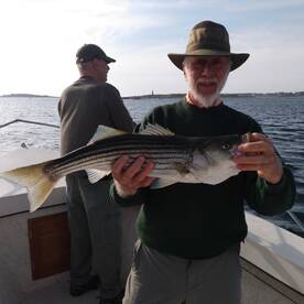 Break out the fly rods!!! 