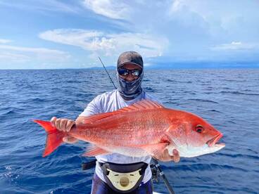 Quepos Report Photo 2