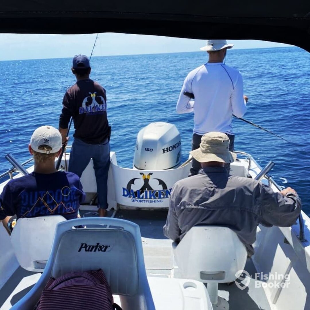 San Jose del Cabo Report Photo 0