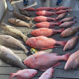 Treasure Island Report Photo 1