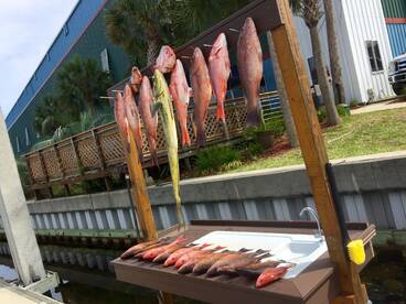 Destin Report Photo 1