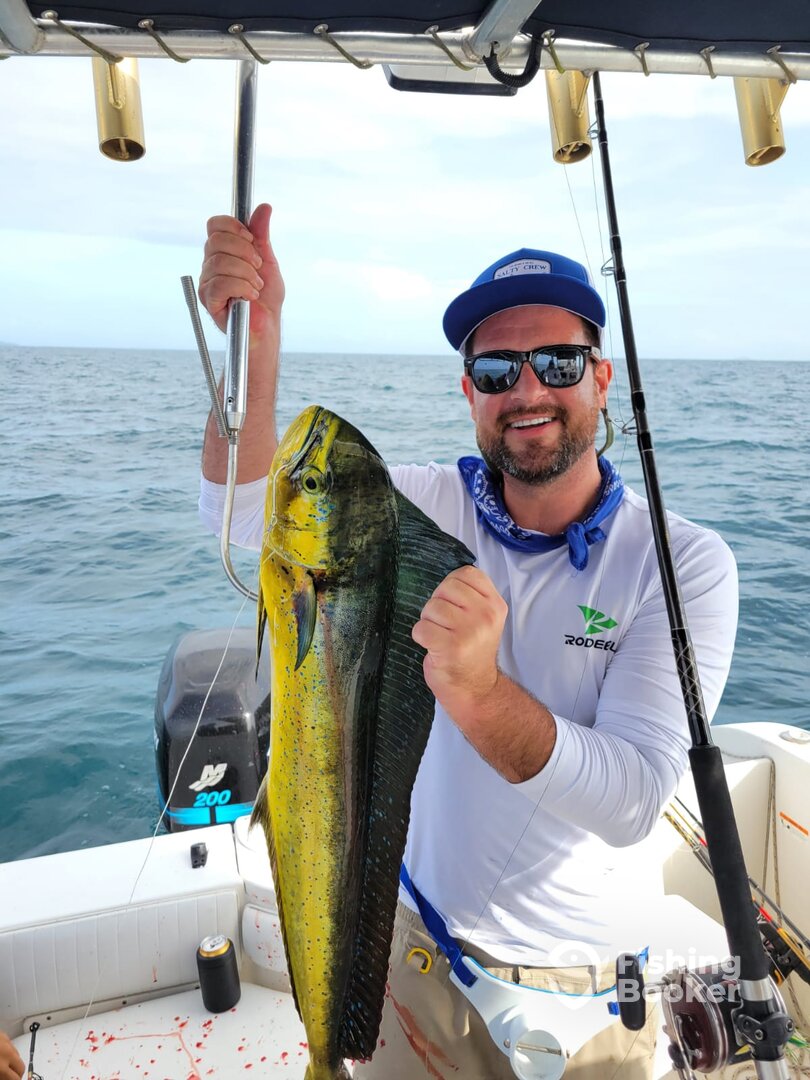 Panama City Report Photo 0