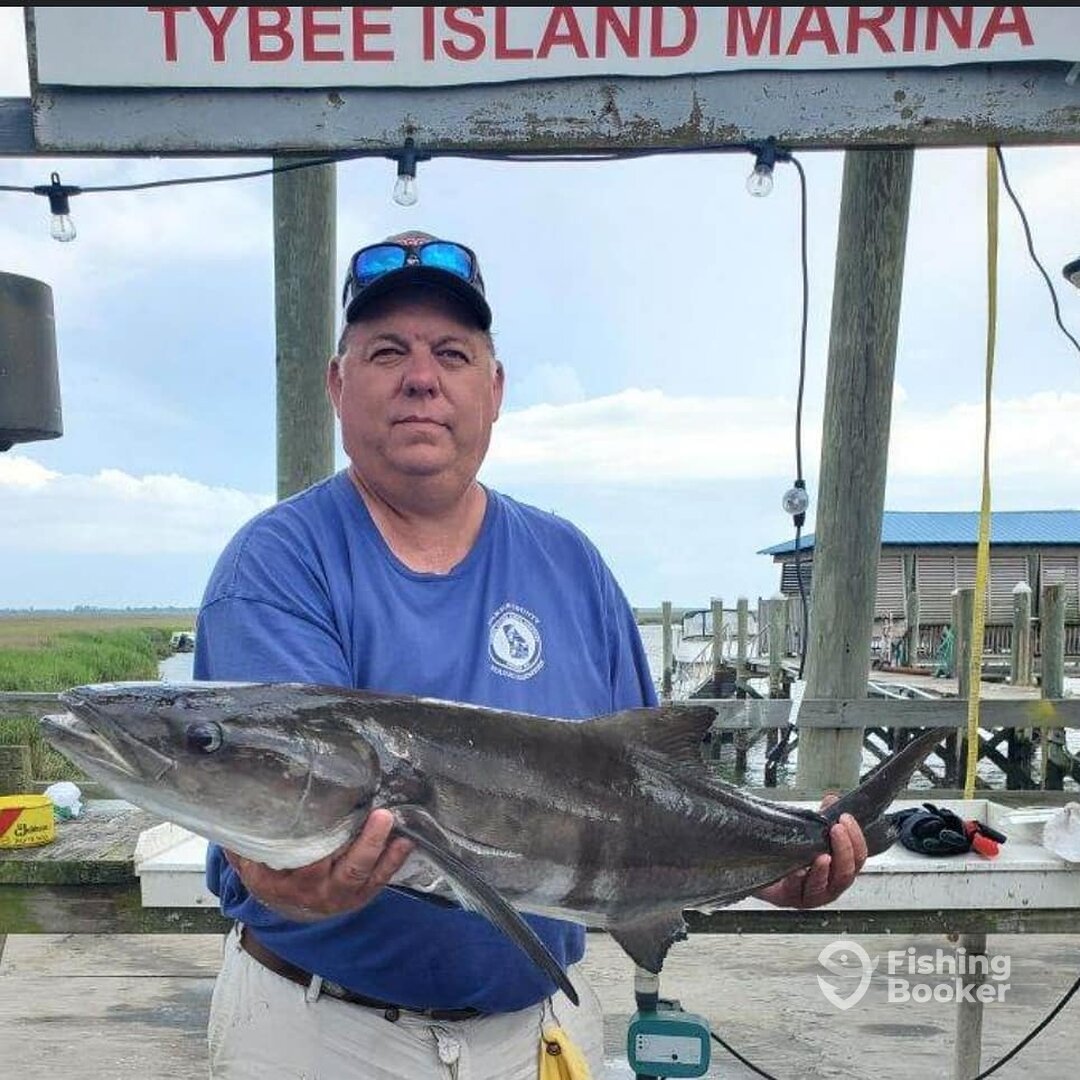 Savannah Report Photo 0