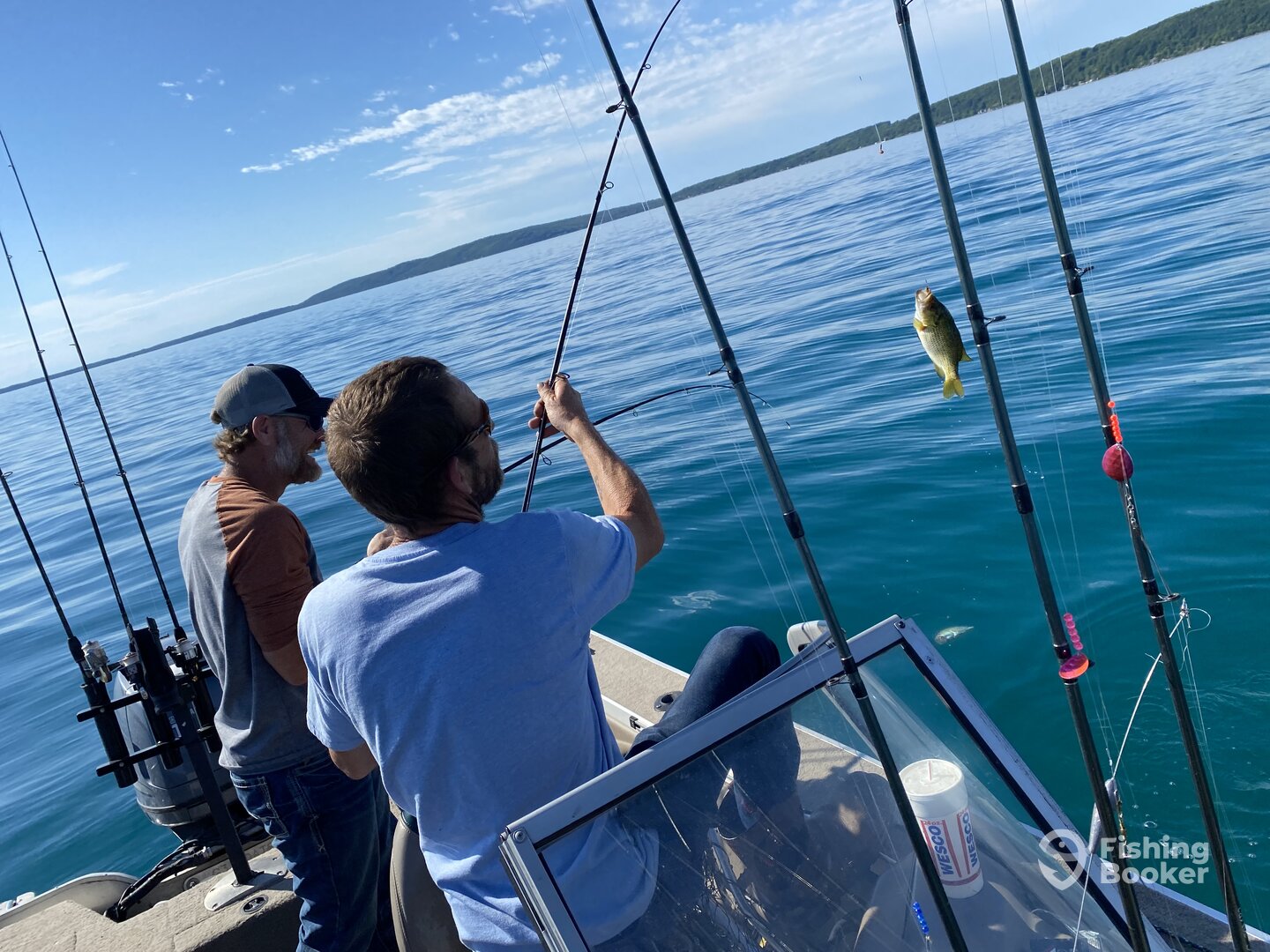 Frankfort Report Photo 0