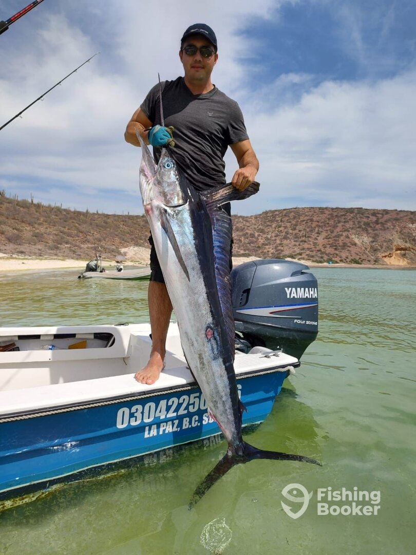 La Paz Report Photo 0