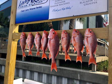 Destin Report Photo 1