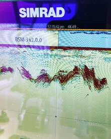 San Diego Report Photo 2