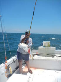 St. Augustine Report Photo 1