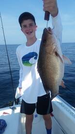 Destin Report Photo 1