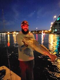 Snook - Bull Reds - Tarpon - At night is