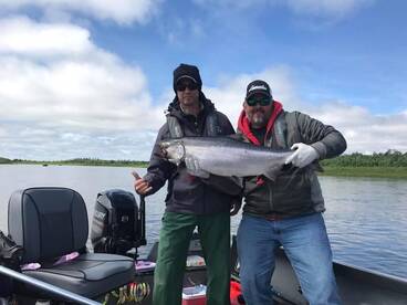 Sunshine and big brite chinook salmon
