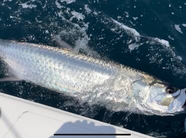 Summer fishing is hot! 