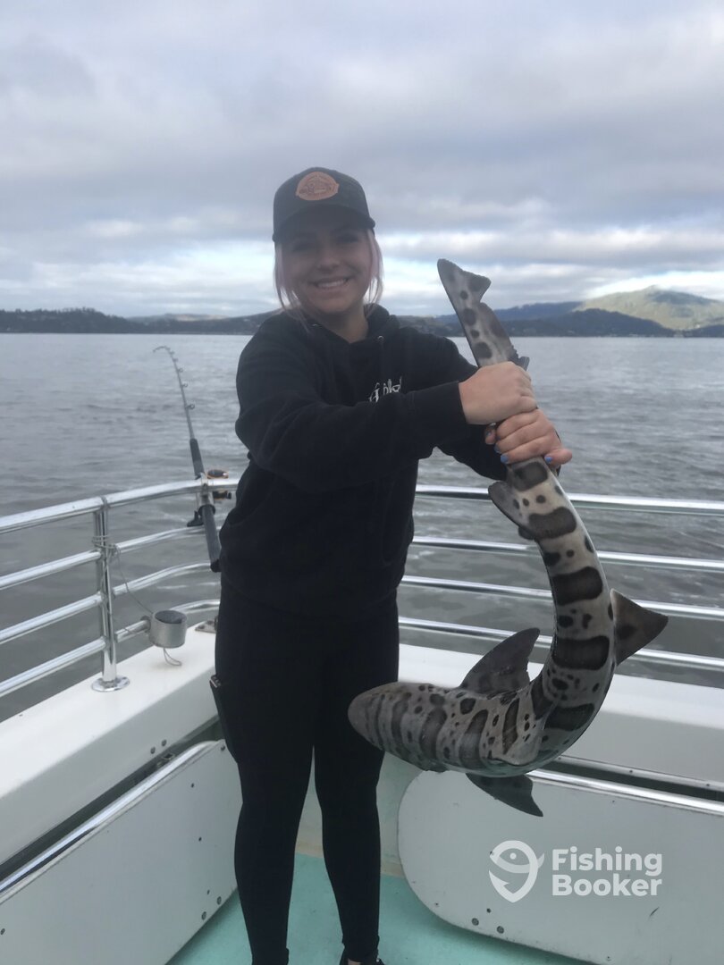 San Francisco Report Photo 0