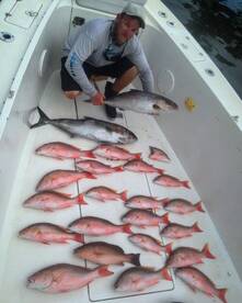 End of Spring, Red Hot Bite!