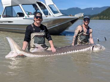 Sturgeon Report week of June 20