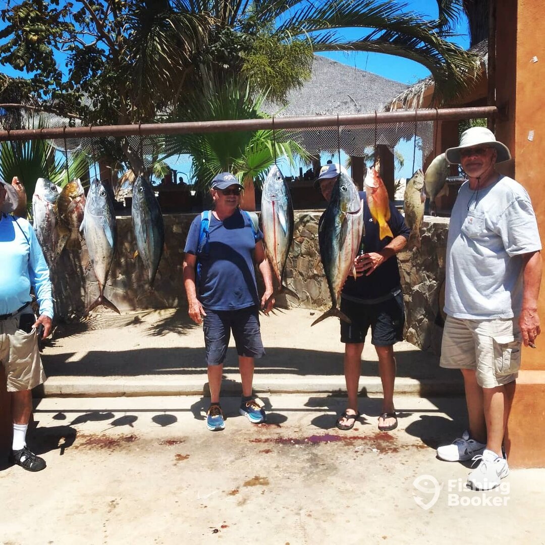 San Jose del Cabo Report Photo 0